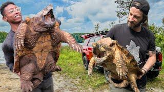 Removing a HOOK from an Alligator Snapping Turtle!! TONS of Turtles with @cavemanwildlife