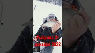 рыбалка 31 декабря 2022