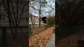 дед учит делать манки #tiktok #shorts #tutorial #challenge #parkour #тренды #паркур #челлендж #трюки