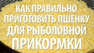 ПШЕННАЯ КАША ДЛЯ РЫБАЛКИ - КАК ПРИГОТОВИТЬ ПРАВИЛЬНО