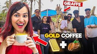 Giraffes ke sath Breakfast + 24 Carat Gold Coffee in Abu Dhabi 