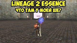 Что произошло с ШЕ в Lineage 2 Essence?