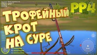 Первая проба техасской оснастки на Суре. Трофейный язь • Русская рыбалка 4 • Ловля спиннингом