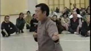 Chen Xiao Wang demonstrating Fajin