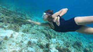 Young Girl Freediving | Dive Without Fins | Underwater | Being Diver |