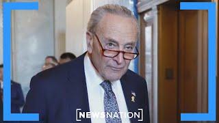 House Dems put pressure on Schumer to resign | NewsNation Now