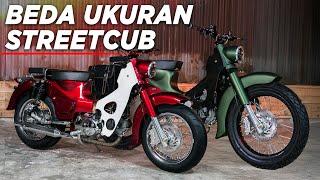 BAHAS UKURAN STREETCUB BONSAI DAN NORMAL