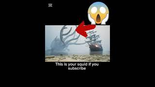 This is your squid if…