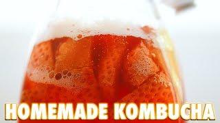 How To Make Kombucha At Home