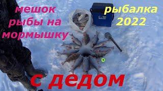 Рыбалка 2022. С дедом на мормышку, день 2.