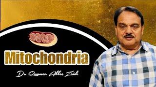 Mitochondria l Structure & Function l Dr. Quamar Abbas Zaidi Sir #mitochondria