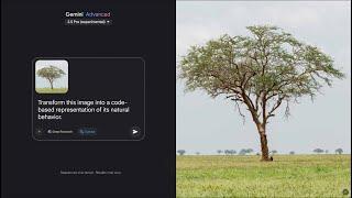 Gemini 2.5: Vibe coding nature to simulation
