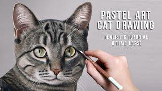 How to Draw a Highly Detailed CAT - Beginners+