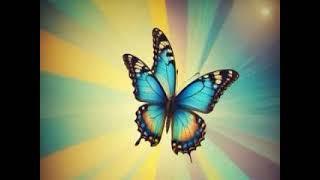 Butterfly! By The Elemental Dragons Of Time & Space!