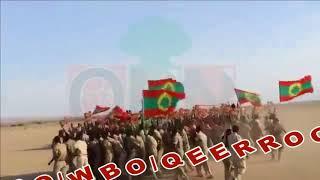 New Oromo Music: ABO-WBO-QEERROO Maaltu Caalaa?