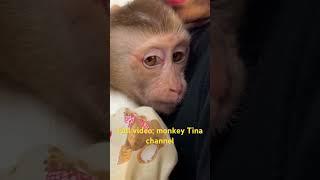 Mom hugged Tina tightly and cried before leaving. #love #live #monkeyfamily
