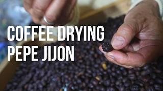 COFFEE PROCESSING: The Beauty of Drying Coffee ft. Pepe Jijon