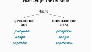 Имя существительное (5 класс, видеоурок-презентация)