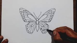 How to draw butterfly