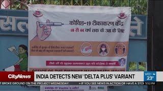 New 'Delta Plus' variant identified in India