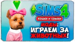 ИГРАЕМ ЗА ЖИВОТНЫХ В THE SIMS 4! (ОБЗОР МОДА)