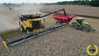 2 x New Holland CR10.90 mit 13,70 m MacDon FD2 Flexdraper / HW80 / Horsch Titan 34 UW / Rapsdreschen