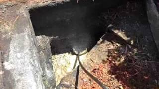 Restaurant Grease Trap Drain Cleaning with The Plumber's Plumber