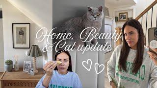 Home, Makeup & a Cat Update! No Foundation Routine, Haul & Eye Cream Must Have!