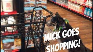 Mick Goes Shopping