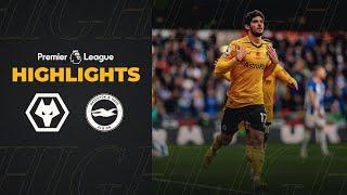 The Seagulls snatch the points | Wolves 2-3 Brighton | Highlights