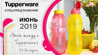 Спецпредложения Tupperware на июнь 2019