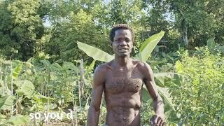 A Documentary on Natural Living in Jamaica - Teaser