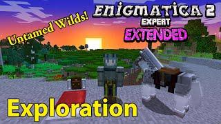 Enigmatica 2 Expert Extended - Exploration [3]