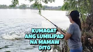 KUMAGAT ang LUMILIPAD na MAMAW dito