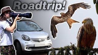 Wildlife Photography SOLO Car Camping Roadtrip | Part 1