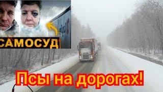 168) БЕСПРЕДЕЛ В РЯЗАНИ!!!НАЙТИ И ПОСАДИТЬ!!!