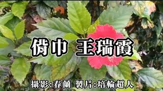 花蓮U_日常美景(偝巾_王瑞霞)_20240512