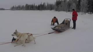 Путешествие с палаткой в северном лесу. Journey with a tent in the North woods