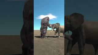 Goro vs Elephant