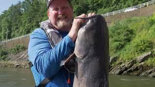 Get Ready for an Epic Catfish Adventure in Tennessee