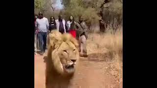 park rangers and tourists