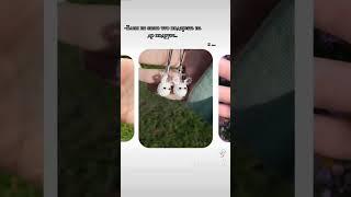 #бисер #бисероплетение #бисеринка #diy #бисерныеукрашения #handmade #бисерок #aesthetic #бисеры