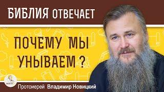 ПОЧЕМУ МЫ УНЫВАЕМ ?  Протоиерей Владимир Новицкий