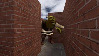 Shrek in Maze