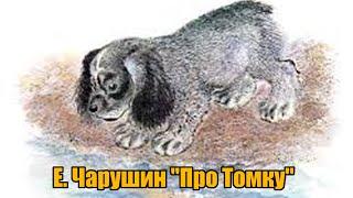 Е. Чарушин "Про Томку"