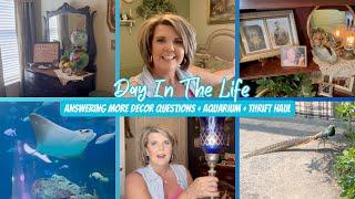 ️ Decor Chat, Stingray Drama & a Surprise Thrift Haul!  #homedecor  #aquarium  #dayinthelife