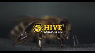 Welcome to Hiveworld