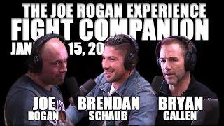 Joe Rogan Experience - Fight Companion - January 15, 2017