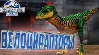 ВЕЛОЦИРАПТОРЫ - Jurassic World The Game #15