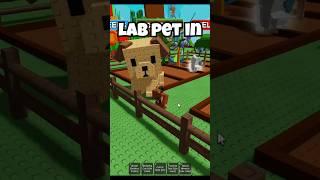 Roblox Grow a Garden | This Is The Biggest Pet In Grow a Garden | Biggest Pet | How To Get Pets
